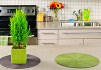 Update your kitchen for spring  