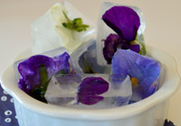 Clever ice cube recipes