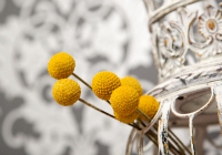 Going vintage in your home for a fresh look