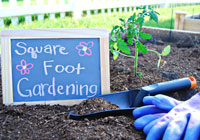 How to practice square foot gardening