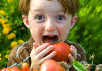 How to create a kid-friendly and parent-friendly backyard