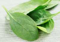 The best spinach recipes on Pinterest