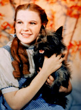  - dorothy-gale-wizard-of-oz