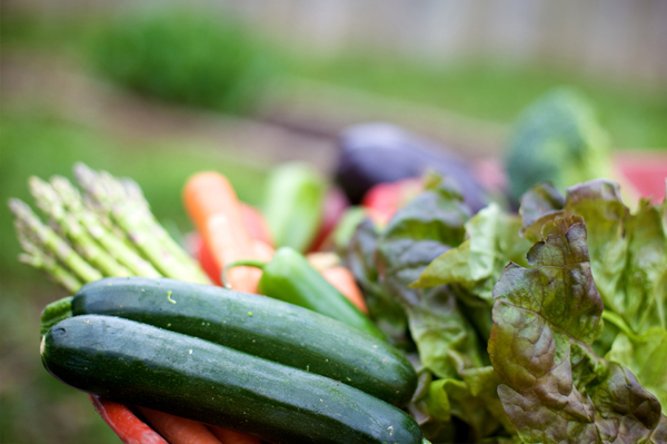 Spring Vegetables