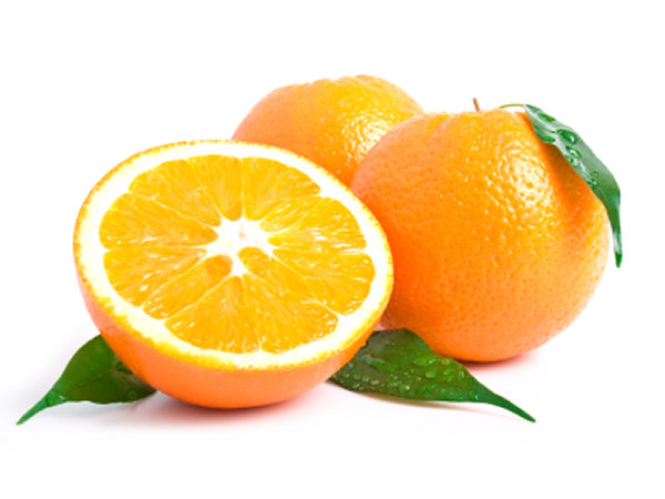drawings of oranges