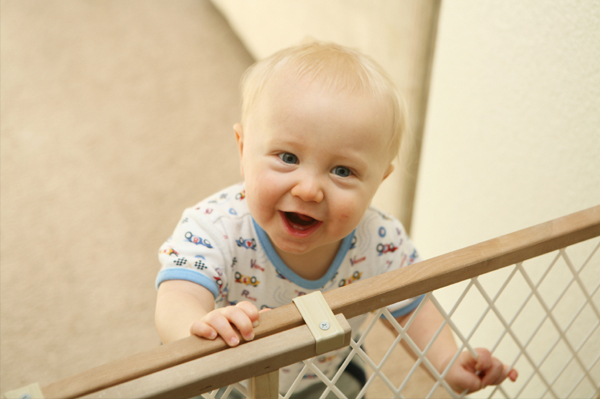 Baby gate