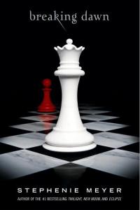 Breaking Dawn gets a director