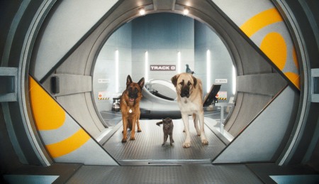 Cats and Dogs 2