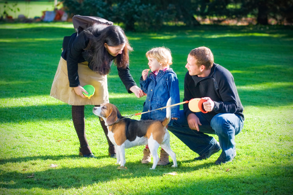 Child being introduced to dog