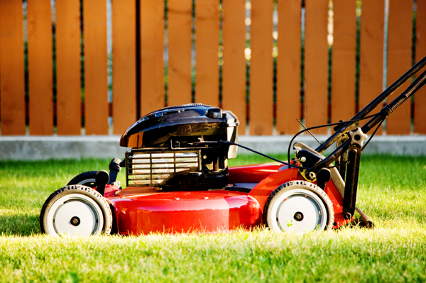 Mowing the lawn