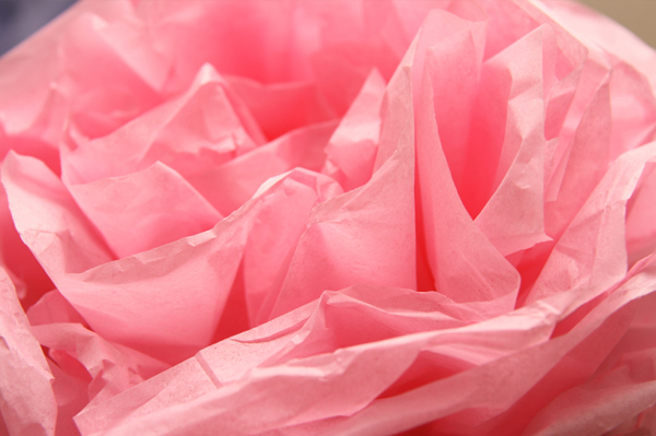 Paper Flower