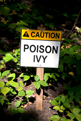 poison ivy sign