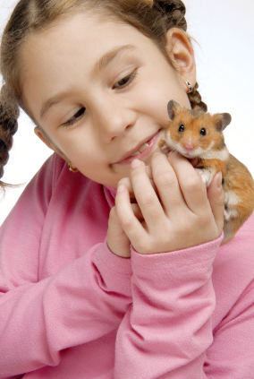 Child and hamster