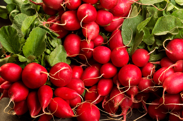 radishes images