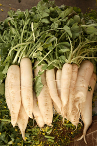 Pickled Daikon