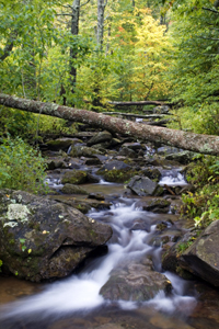Shenandoah National Park