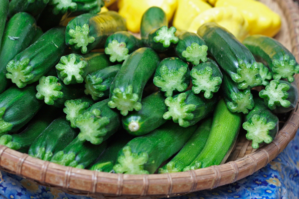 Summer Squash
