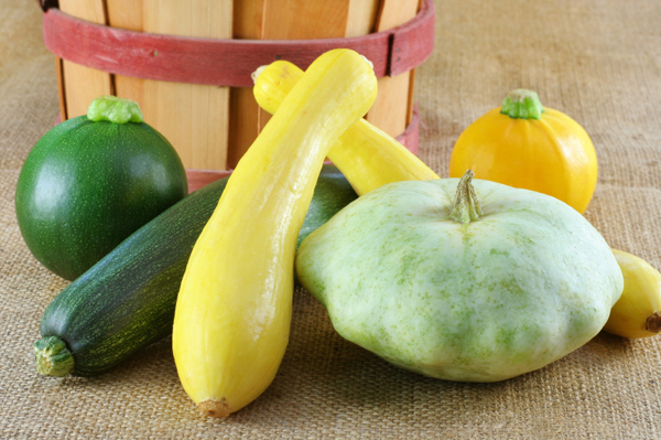 Variety of summer squash