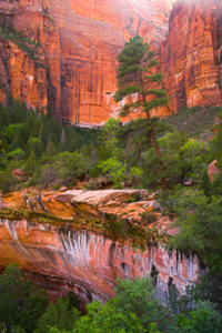 Zion