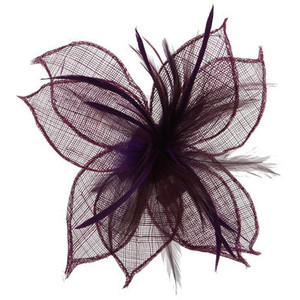 Hair Clip