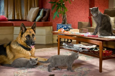 Cats and Dogs: The Revenge of Kitty Galore