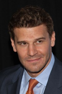 David Boreanaz is in trouble