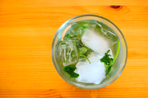 Mint Herbed Cocktail