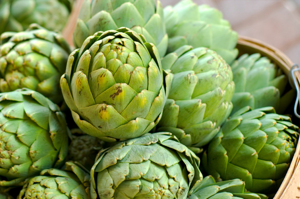 Summer artichoke