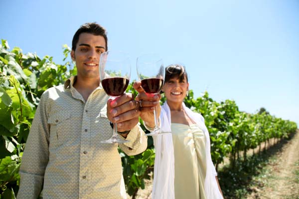 Biodynamic wines