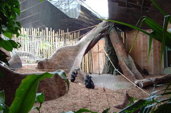 Toronto Zoo