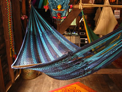 Backyard hammock