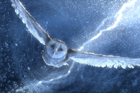 Legend of the Guardians: The Owls of Ga'Hoole