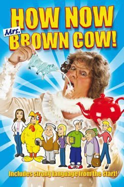 mrs browns boys poster
