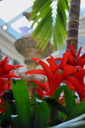 Atrium at Loew's Portofino Bay Hotel
