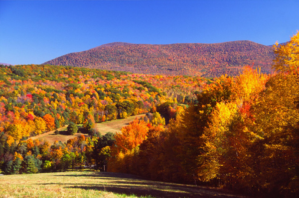 Best time to travel: Five fabulous fall destinations - Page 2