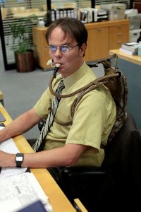 Rainn Wilson on The Office