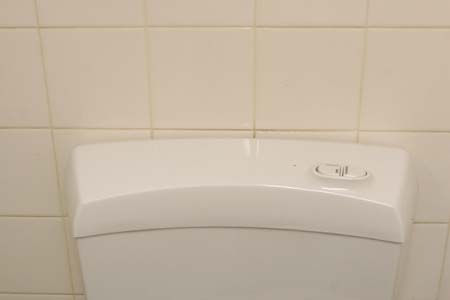 dual flush toilet