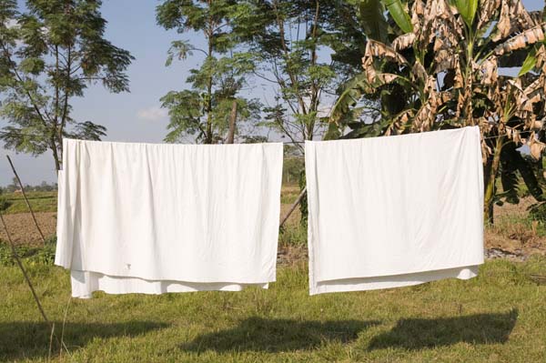 Sheets on a clothesline