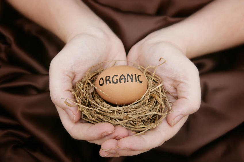 organic egg