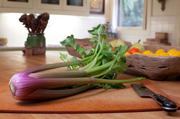 Duda Farm Fresh Foods introduces Celery Sensations red celery