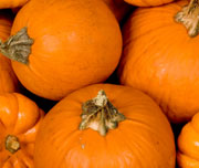 Pumpkins