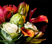 Fall Florals