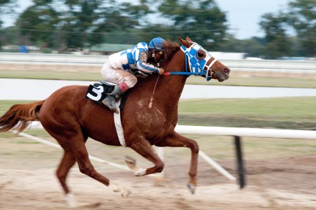  Penny Chenery Tweedy and Lucien Laurin respectively