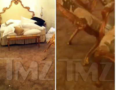 Charlie Sheen hotel room