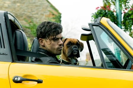 Dominic Cooper in Tamara Drewe