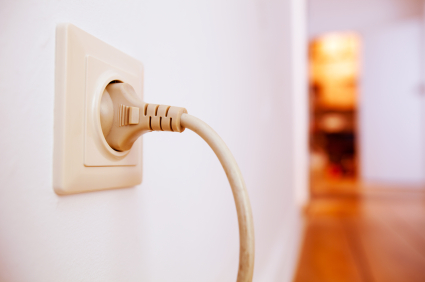 Make sure your pet can’t chew on cords or wires.