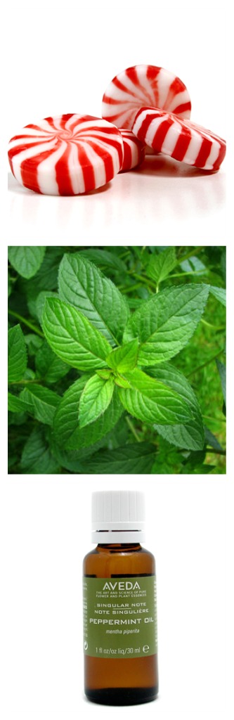 peppermint