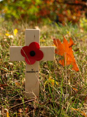 Remembrance Day and poppy
