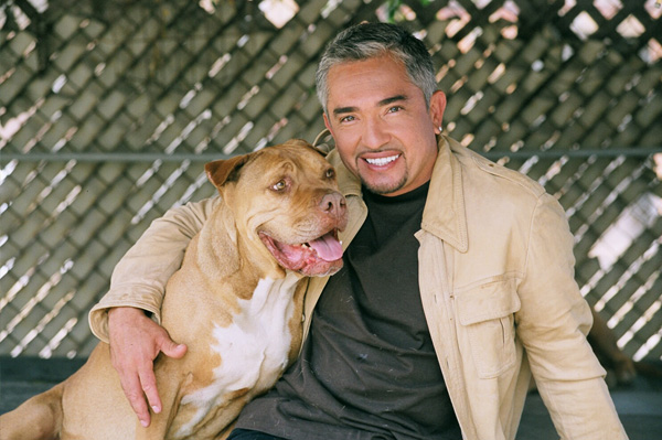 famous dog trainer cesar millan