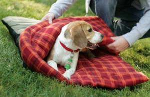 Coleman Hibernation dog sleeping bag